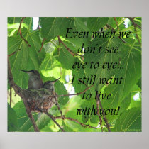 Hummingbirds Posters