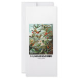 Hummingbirds rack cards
