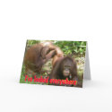 Humorous Be My Valentine cards