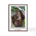 Humorous  I'll Give You Something to Cry About cards
