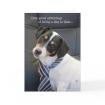 Humourous Birthday Card - Dog Wearing a Tie