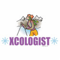 Humourous Cross Country Snow Skiing photo sculptures