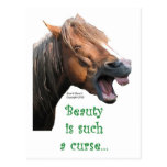 Humourous Horse:  Beauty is such a curse Postcard