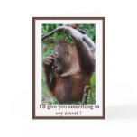 Humourous  I'll Give You Something to Cry About cards
