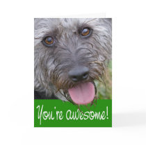 Humourous Scruffy Pup Encouragement Card