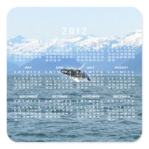Humpback Acrobat; 2012 Calendar Square Sticker