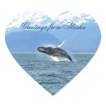 Humpback Acrobat; Alaska Souvenir Stickers