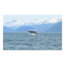 Humpback Acrobat Sticker