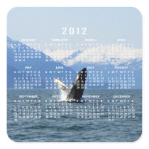 Humpback on the Surface; 2012 Calendar Square Sticker