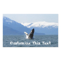 Humpback on the Surface; Customisable Stickers