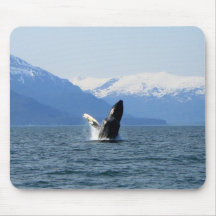 Humpback on the Surface Mouse Pads
