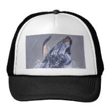 Humpback Trucker Hat