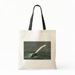 Humpback whale bags