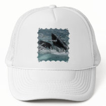 Humpback Whale Baseball Hat