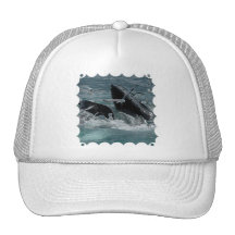 Humpback Whale Baseball Hat