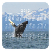 Humpback Whale Breaching; 2012 Calendar Sticker