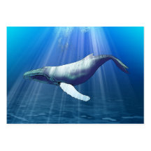 Humpback Whale Business card