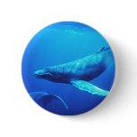 Humpback Whale buttons