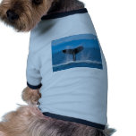 Humpback Whale Dog Clothes