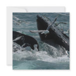 Humpback Whale Invitation