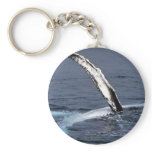 Humpback whale keychains