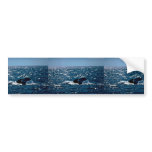 Humpback Whale, Mexico bumper stickers