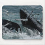 Humpback Whale Mouse Pad