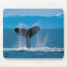 Humpback Whale Mouse Pads