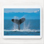 Humpback Whale Mouse Pad