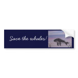 Humpback whale painting bumper stickers