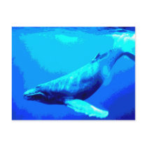 Humpback Whale Postcard