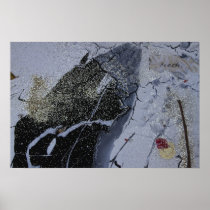 Humpback Whale Poster