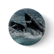 Humpback Whale Round Button