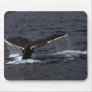 Humpback Whale Sounding (Tail Flukes)/Glistening Mouse Pad