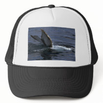 Humpback Whale Sounding (Tail Flukes) Mesh Hats