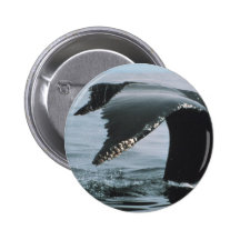 Humpback Whale Tail Buttons