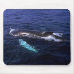 Humpback Whale visible beneath water Mouse Pads