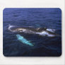 Humpback Whale visible beneath water Mouse Pads