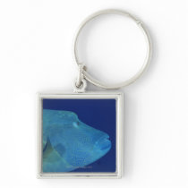 Humphead Wrasse 2 Key Chain