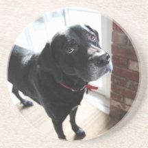 Humphrey Bogart Coaster