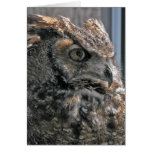 Humphrey Card