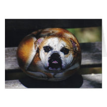 "Humphrey" dog rock card