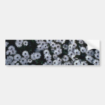 Hundreds Of White Flowers Bumper Stickers