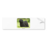 Hungarian Puli 8W48D-12 bumper stickers