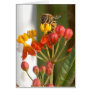 Hungry Bee Blank Card