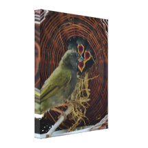 Hungry Birdies in Nest Stretched Canvas Print