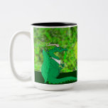 Hungry Dragon Coffee Mugs