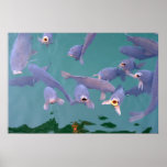 Hungry Fish posters