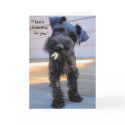 Hungry Puppy Valentine's Day Greeting  Card