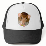 Hungry Rat Hat